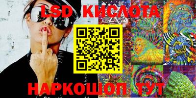 крисы Новодвинск