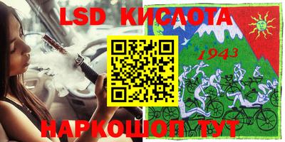 крисы Новодвинск