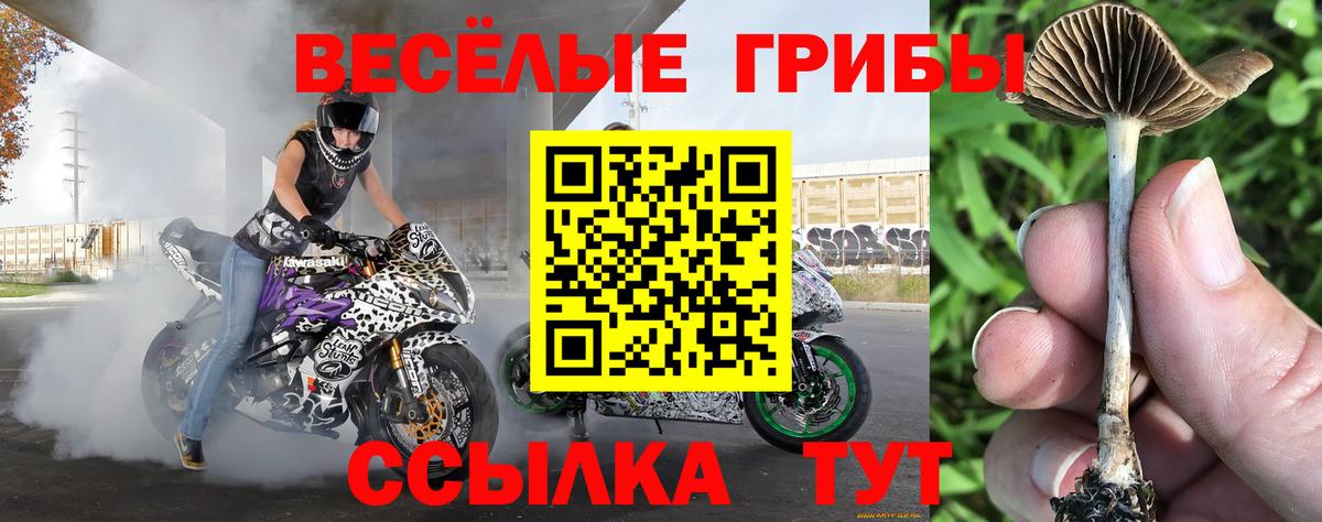 Псилоцибиновые грибы ЛСД  Вход с VPN  Тихвин 