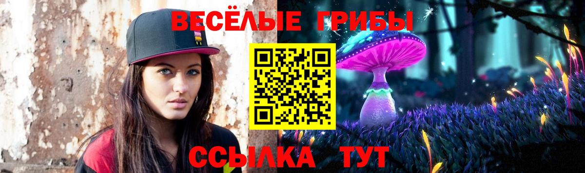 Псилоцибиновые грибы Psilocybine cubensis Тихвин